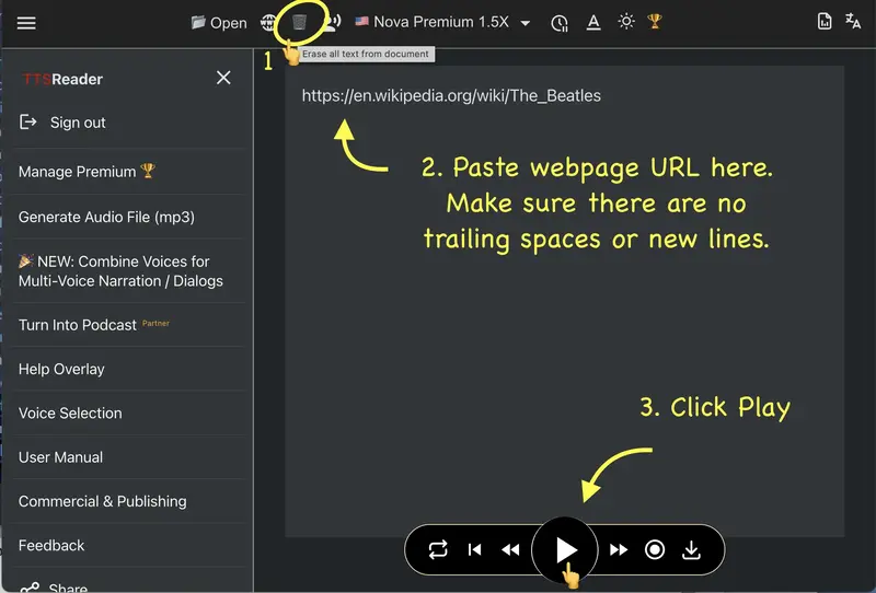 Import webpage via the text area directly