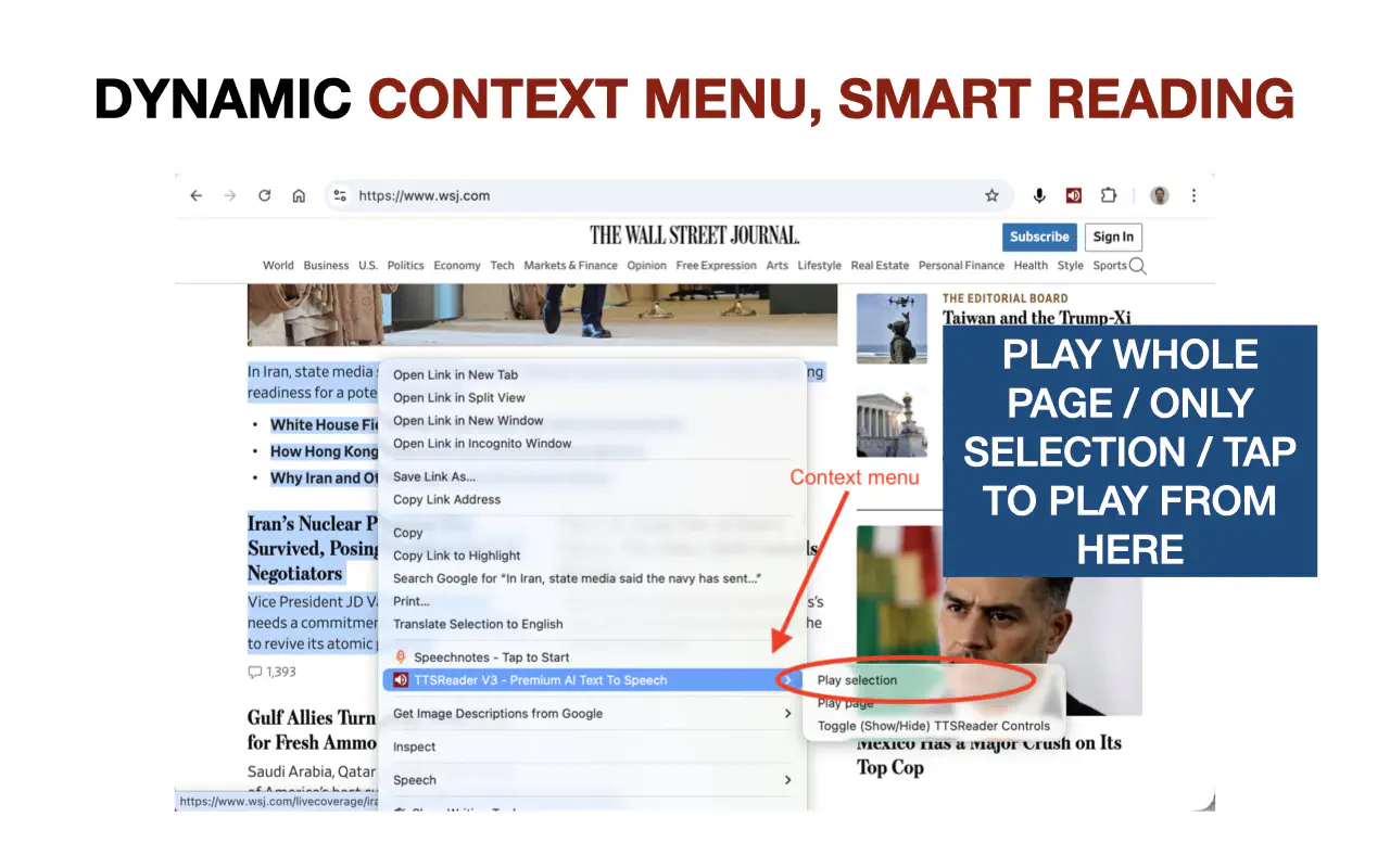 TTSReader&rsquo;s Context Menu